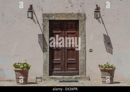 Une grosse porte sur une maison italienne avec l'ombre des lumières et pot à fleurs Banque D'Images