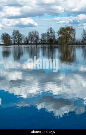 Lac de la forêt dans le cadre de blue cloudy sky Banque D'Images