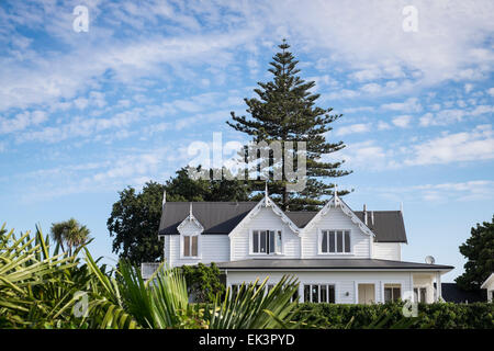 Maison de style victorien en bois avec pine tree Hill à Napier, Nouvelle-Zélande Banque D'Images