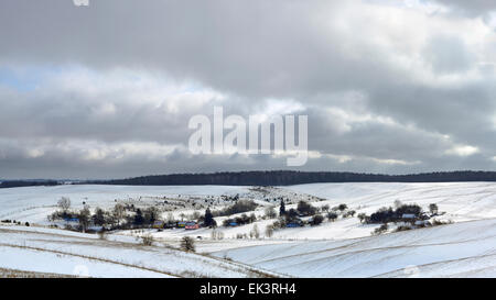 Les fermes de la forêt d'hiver Banque D'Images