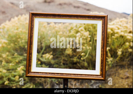 Un artiste a placé de façon créative des cadres dans des endroits stratégiques sur la propriété des chemins de fer abandonnés près de Salida, Colorado, USA Banque D'Images