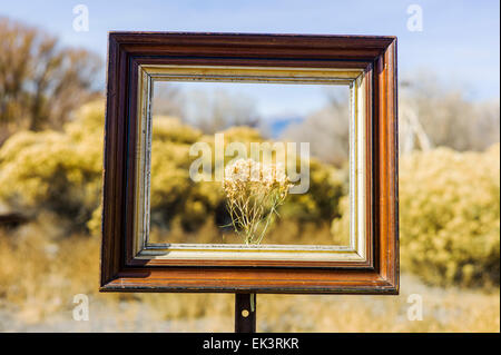 Un artiste a placé de façon créative des cadres dans des endroits stratégiques sur la propriété des chemins de fer abandonnés près de Salida, Colorado, USA Banque D'Images