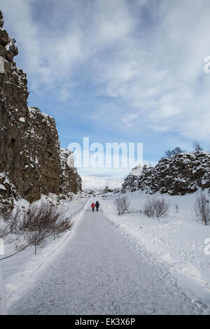 En voie de Pingvellir National Park, à la suite de la fracture dans e plaques tectoniques. Banque D'Images