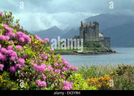 Le Château d'Eilean Donan Western Highlands Scotland UK GO Europe Banque D'Images