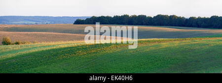 Soirée d'automne dans les terres agricoles Banque D'Images