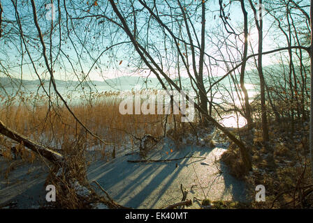 En hiver la mer Laacher Rhénanie-Palatinat, Allemagne eifel Banque D'Images