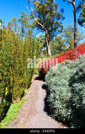 Jardins Botaniques Mt Lofty Adelaide Hills Australie Australie du Sud paysages paysage attractions attraction touristique d'automne Banque D'Images