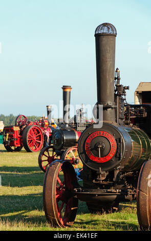 Les moteurs de traction à vapeur traditionnel victorien, vapeur Henham Rally, Suffolk, Angleterre, Royaume-Uni Banque D'Images