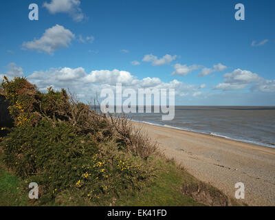 Suffolk Coast Path, de Sizewell à Thorpe Ness et Aldeburgh Circular Walk, Suffolk, Angleterre, Royaume-Uni Banque D'Images