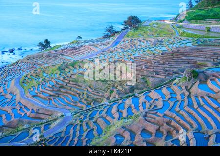 Terrasses de riz au crépuscule, Shiroyone senmaida, Ishikawa, Japon Banque D'Images