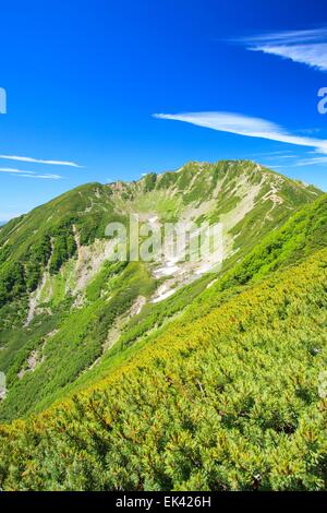 Alpes du Sud Mt. Senjougatake, Yamanashi, Japon Banque D'Images