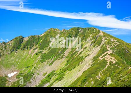 Alpes du Sud Mt. Senjougatake, Yamanashi, Japon Banque D'Images