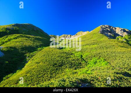 Alpes du Sud Mt. Senjougatake, Yamanashi, Japon Banque D'Images