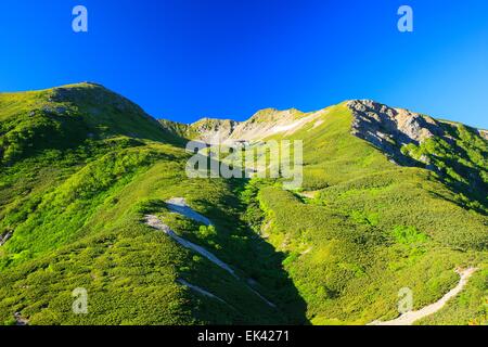 Alpes du Sud Mt. Senjougatake, Yamanashi, Japon Banque D'Images