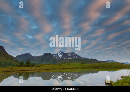 Le long du sentier du lac perdu, près de la Forêt Nationale de Chugach, Seward, Alaska. Banque D'Images