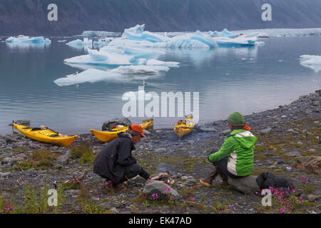 Kayak et camping au Lagon Bear Glacier, Kenai Fjords National Park, près de Seward, en Alaska. (Modèle 1992) Banque D'Images