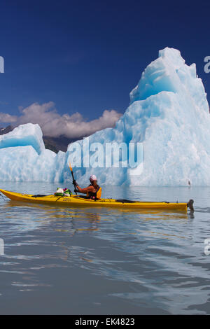 Kayak dans la lagune Bear Glacier, Kenai Fjords National Park, près de Seward, en Alaska. (Modèle 1992) Banque D'Images