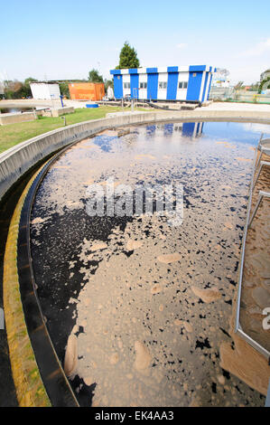 Installation de traitement des eaux usées. L'eau traitée est ensuite utilisé pour l'irrigation et l'utilisation agricole. Photographiée près de Hadera, Israe Banque D'Images