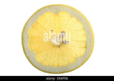 Fruits tropicaux, fruits exotiques, pamplemousse, les agrumes maxima Banque D'Images