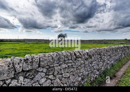 Italie, Sicile, campagne, typique sicilienne fait main mur de pierre Banque D'Images