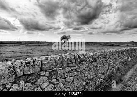 Italie, Sicile, campagne, typique sicilienne fait main mur de pierre Banque D'Images