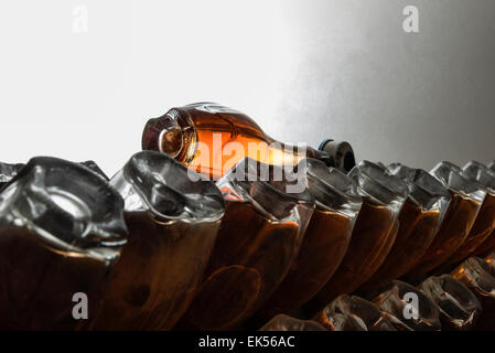 L'Italie, la Sicile, le vieillissement des bouteilles de champagne dans une cave à vin Banque D'Images