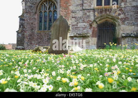 Fleurs sauvages ornent une église cimetière Banque D'Images