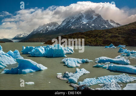 Les icebergs du Glacier Grey (dans le lointain) dans le lac gris dans le sud du champ de glace de Patagonie dans Torres del Paine Natio Banque D'Images