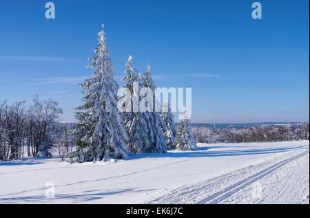 Winterwald - forêt en hiver 01 Banque D'Images