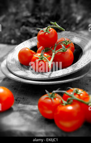 Les tomates rouges fraîches cueillies ensemble sur des vignes Banque D'Images