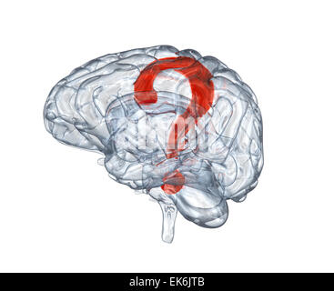 Cerveau humain en verre avec un point d'interrogation à l'intérieur Banque D'Images