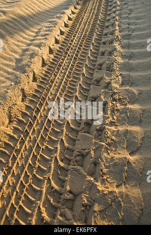 4x4 voies en envoyer sur dunes de sable Salon National de Doñana, Huelva, Espagne Banque D'Images