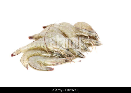 Crevettes fraîches isolées sur fond blanc Banque D'Images
