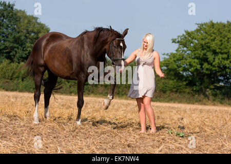 Femme Cheval Holsteiner jument baie de champ de chaumes Allemagne gymnastique Banque D'Images