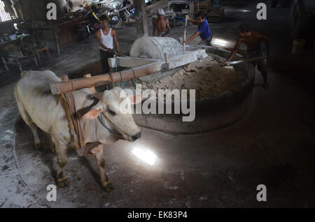 Yogyakarta, Indonésie. 8Th apr 2015. Moudre la farine pour faire des travailleurs lethek mie (une sorte de nouilles traditionnel fait maison) Srandakan au village de Bantul, Yogyakarta, Indonésie, le 8 avril 2015. Le MRA lethek est produit avec l'aide de 'POWER' vache plutôt que sur des machines modernes. © Juli Nugroho/Xinhua/Alamy Live News Banque D'Images