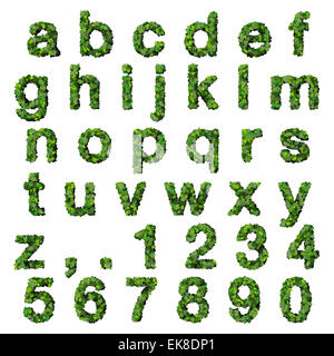 Alphabet de chiffres fabriqués à partir de feuilles vert isolé sur fond blanc. 3D render. Banque D'Images