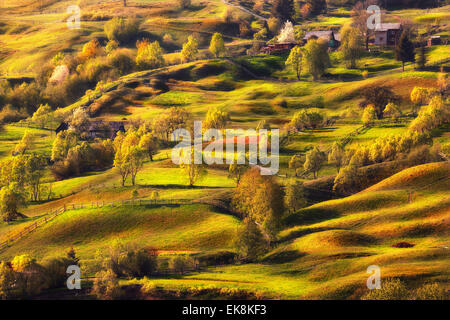 Coucher du soleil du printemps dans le champs en Ukraine Banque D'Images