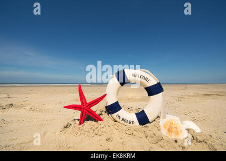 L'été à la plage avec life saver, étoiles et coquillages Banque D'Images