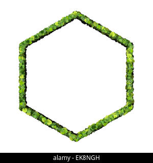 Hexagone fabriqué à partir de feuilles vert isolé sur fond noir. 3D render. Banque D'Images