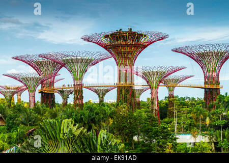 Supertree. Jardins au bord de la baie. Marina Bay. Singapour, en Asie. Banque D'Images