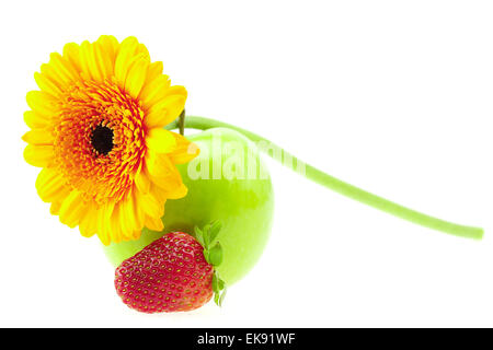 Fleur de pomme et fraise isolated on white Banque D'Images