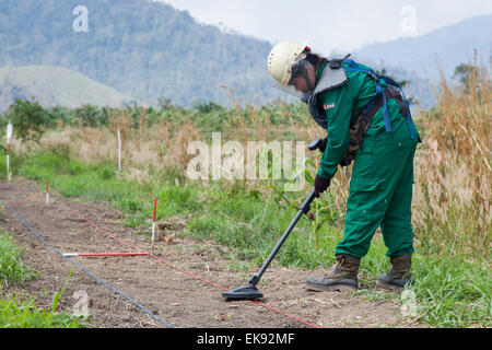 Femme de-miner à l'aide d'un détecteur de mines pour rechercher des mines terrestres Banque D'Images