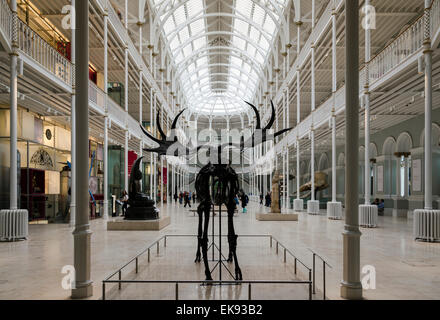 Rez-de-chaussée de la Grande Galerie du Musée National d'Écosse à Édimbourg, Écosse, Royaume-Uni Banque D'Images