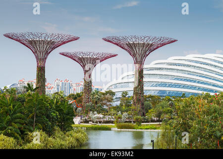 Supertrees et Dome. Jardins au bord de la baie. Marina Bay. Singapour, en Asie. Banque D'Images