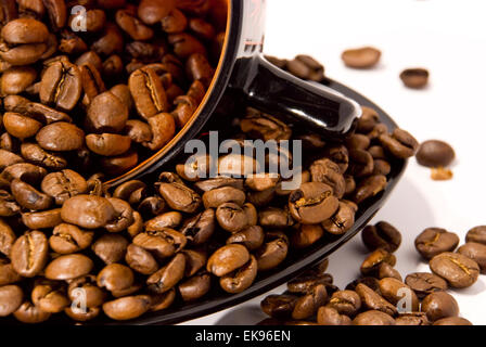Tasse et soucoupe avec les grains de café isolated on white Banque D'Images