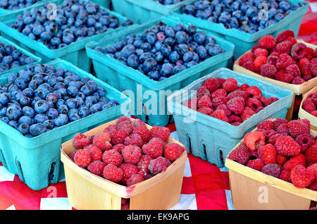 Bleuets et framboises mûres dans les cases du marché agricole. Banque D'Images