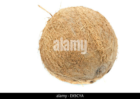 Coconut isolated on white Banque D'Images
