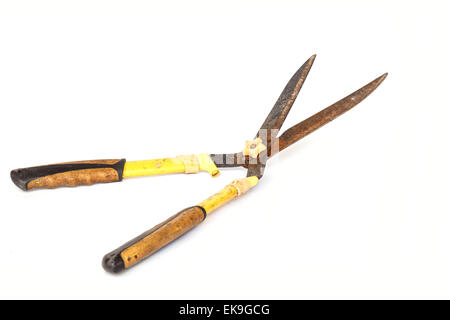 Vieilles et rouillées ciseaux de jardin isolé sur fond blanc Banque D'Images