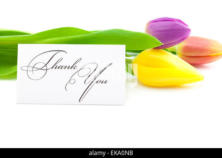 Tulipes colorées et une carte signée merci isolated on white Banque D'Images