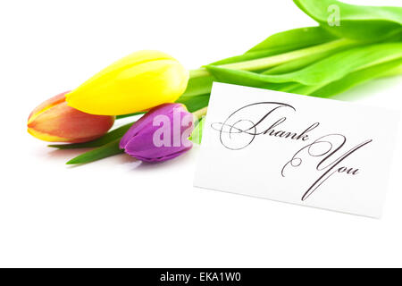 Tulipes colorées et une carte signée merci isolated on white Banque D'Images